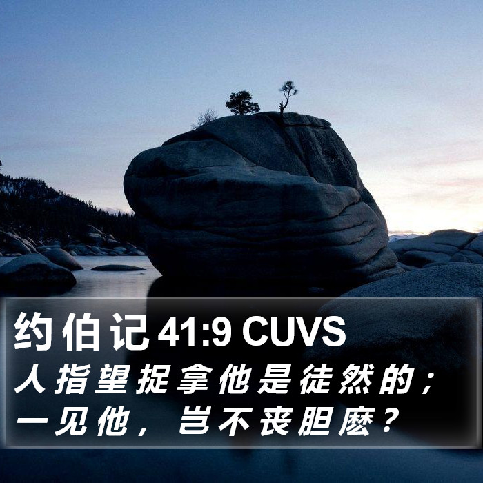 约 伯 记 41:9 CUVS Bible Study