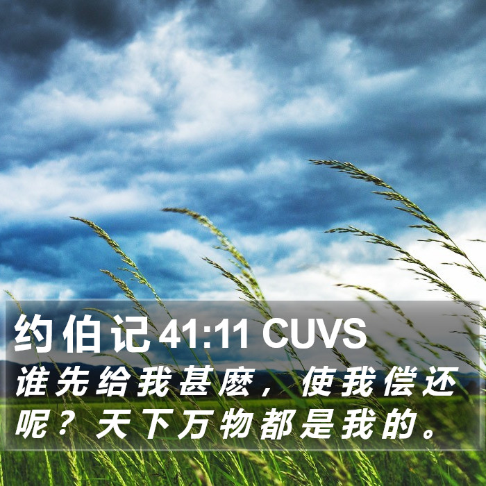 约 伯 记 41:11 CUVS Bible Study