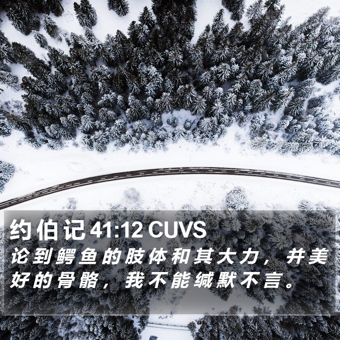 约 伯 记 41:12 CUVS Bible Study