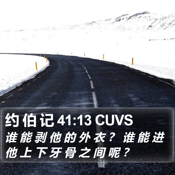 约 伯 记 41:13 CUVS Bible Study