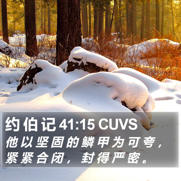 约 伯 记 41:15 CUVS Bible Study