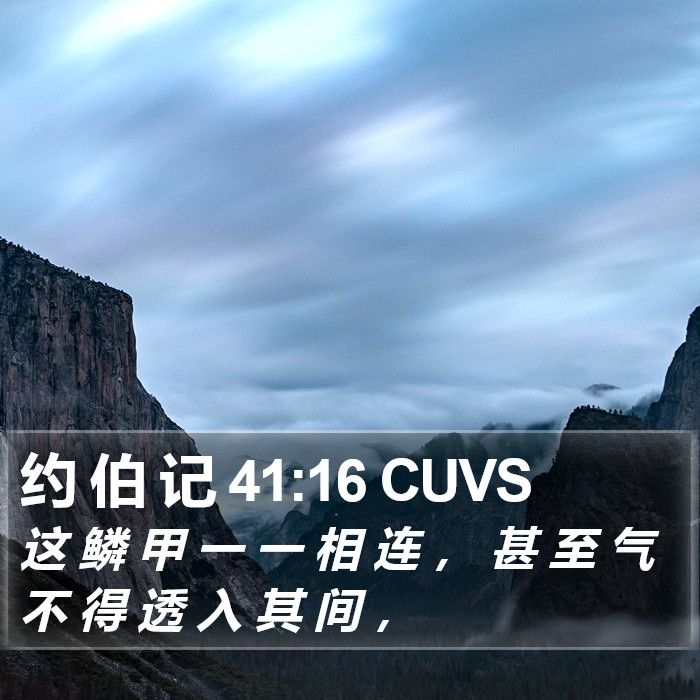 约 伯 记 41:16 CUVS Bible Study