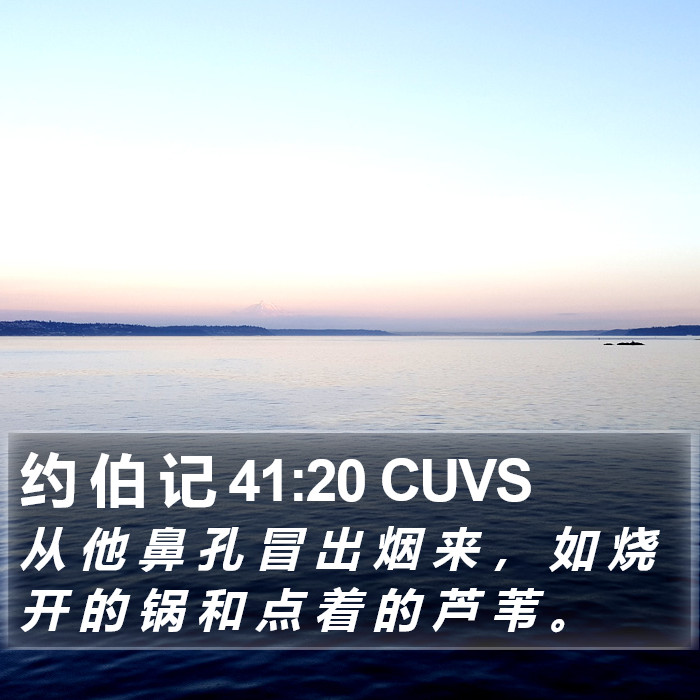 约 伯 记 41:20 CUVS Bible Study