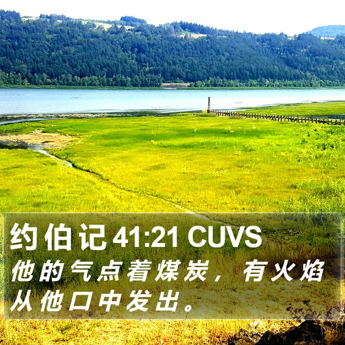 约 伯 记 41:21 CUVS Bible Study