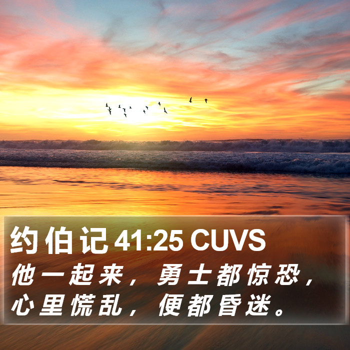 约 伯 记 41:25 CUVS Bible Study