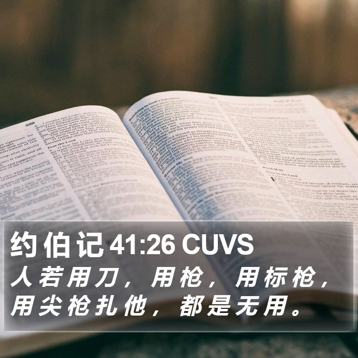 约 伯 记 41:26 CUVS Bible Study