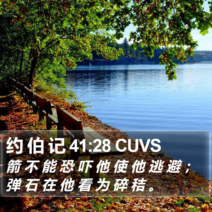 约 伯 记 41:28 CUVS Bible Study