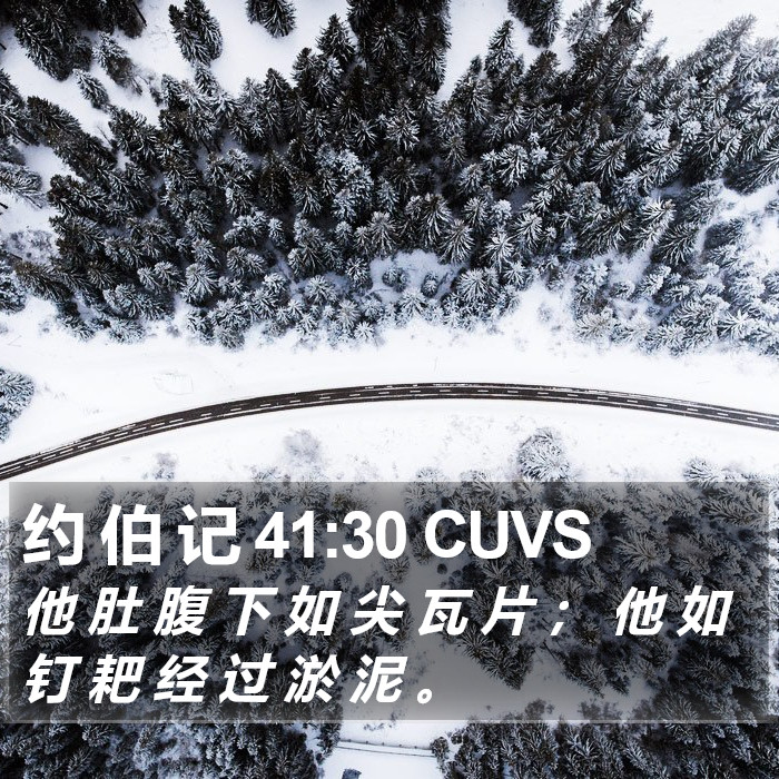 约 伯 记 41:30 CUVS Bible Study