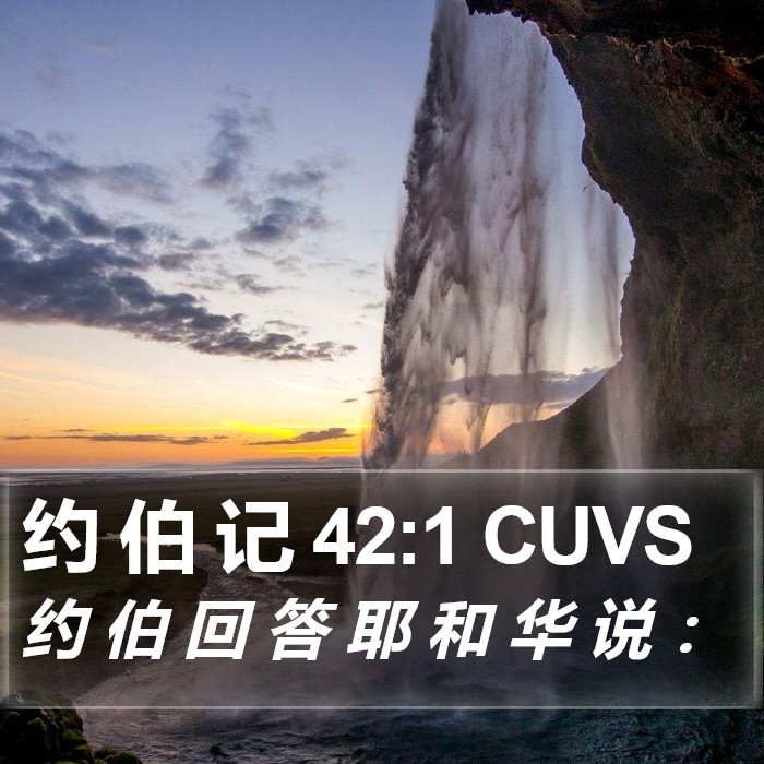约 伯 记 42:1 CUVS Bible Study