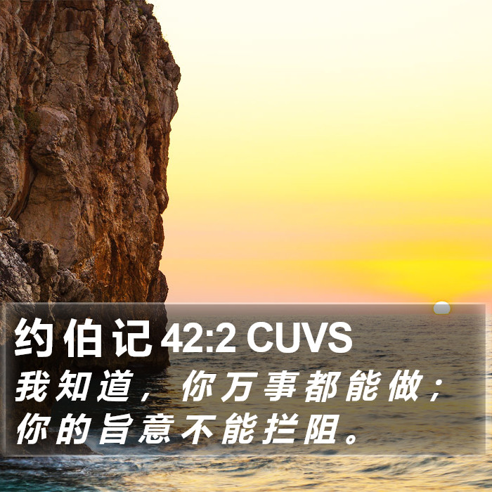 约 伯 记 42:2 CUVS Bible Study