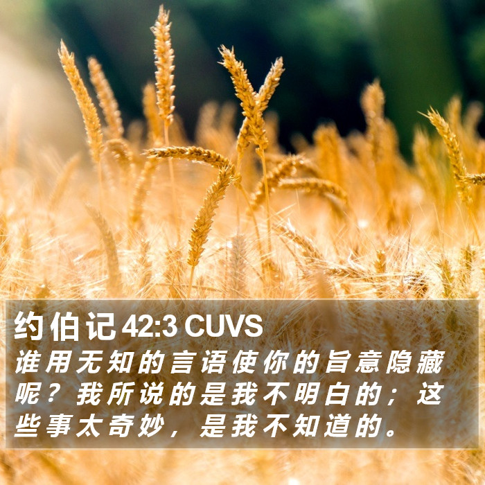 约 伯 记 42:3 CUVS Bible Study