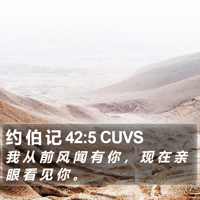 约 伯 记 42:5 CUVS Bible Study
