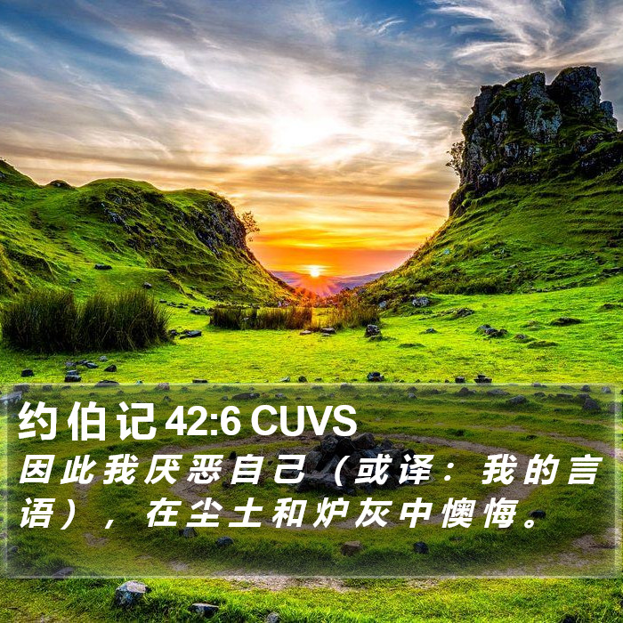 约 伯 记 42:6 CUVS Bible Study