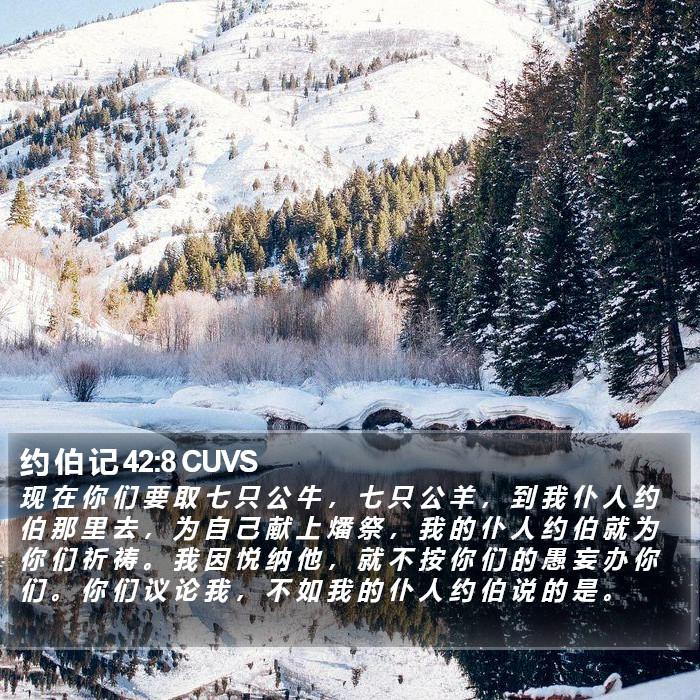 约 伯 记 42:8 CUVS Bible Study