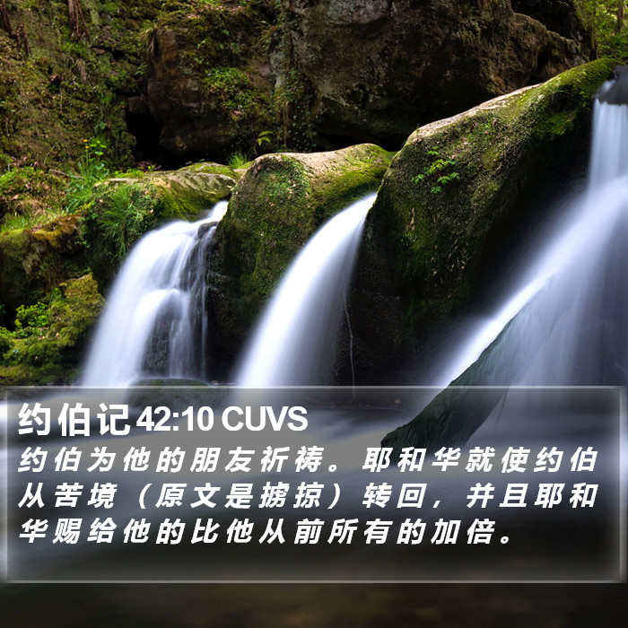 约 伯 记 42:10 CUVS Bible Study