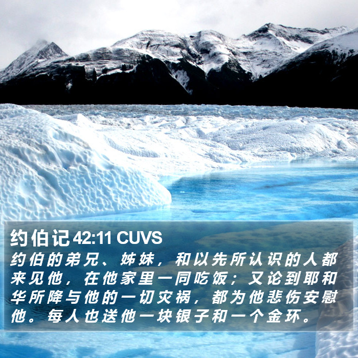 约 伯 记 42:11 CUVS Bible Study