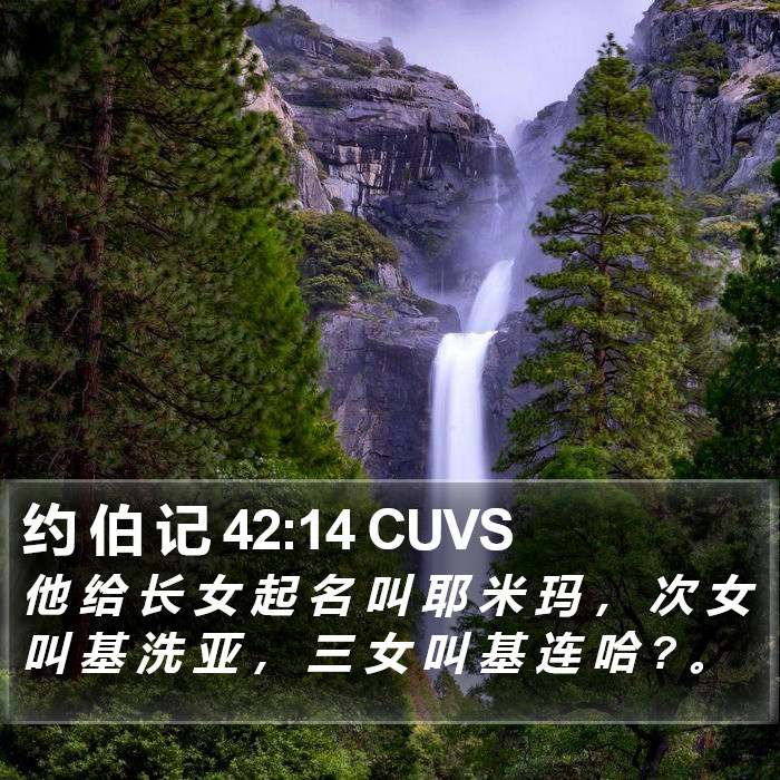 约 伯 记 42:14 CUVS Bible Study