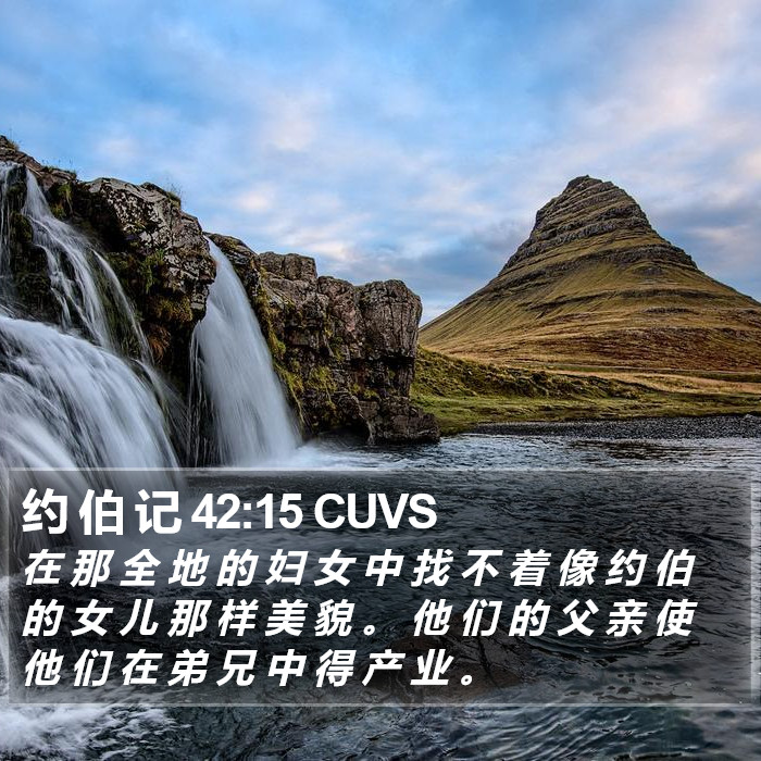 约 伯 记 42:15 CUVS Bible Study