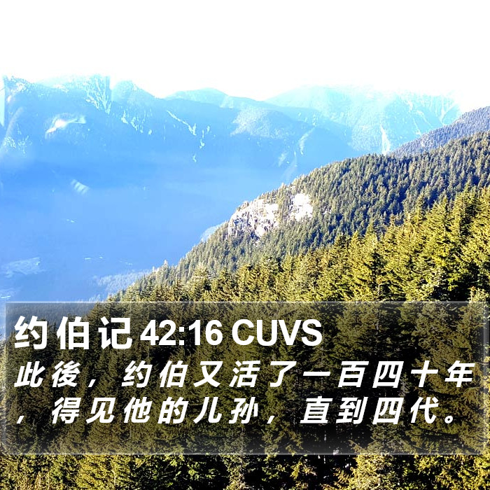 约 伯 记 42:16 CUVS Bible Study