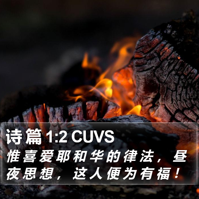 诗 篇 1:2 CUVS Bible Study