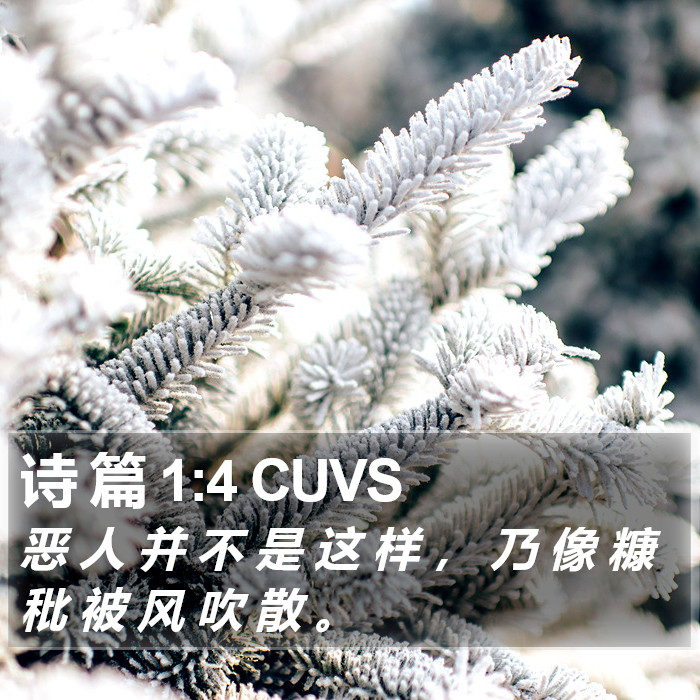 诗 篇 1:4 CUVS Bible Study