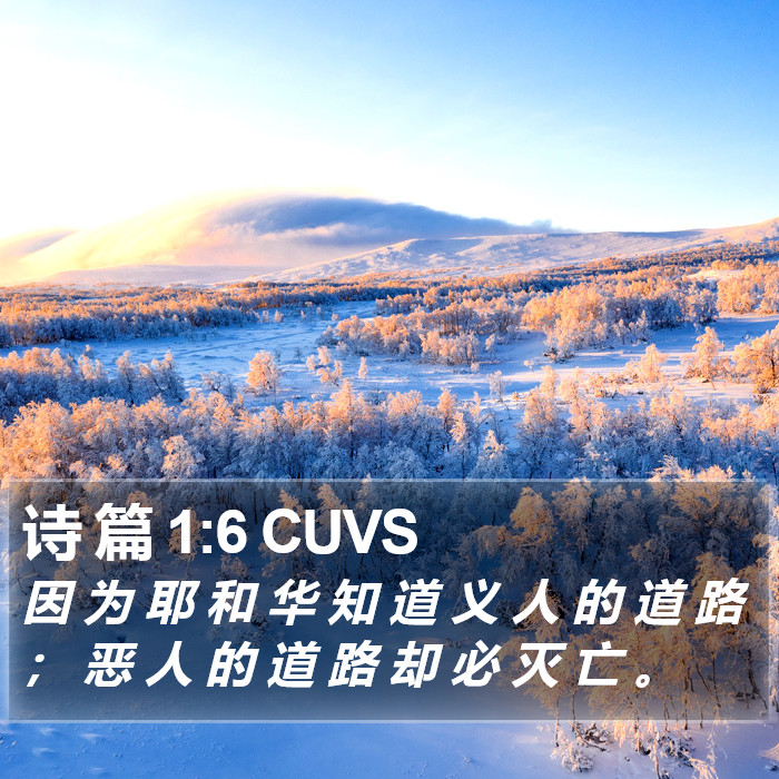 诗 篇 1:6 CUVS Bible Study