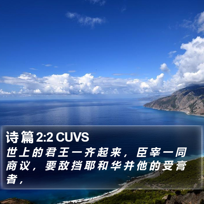 诗 篇 2:2 CUVS Bible Study