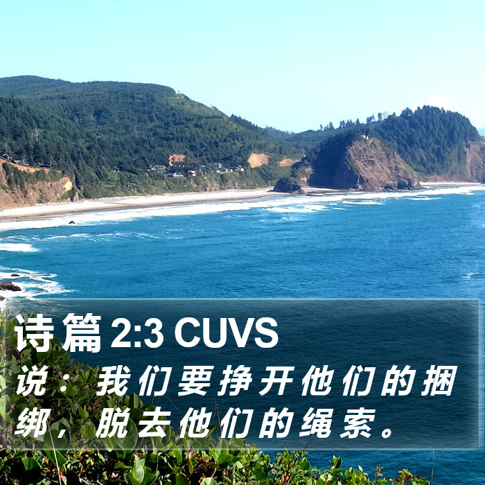 诗 篇 2:3 CUVS Bible Study