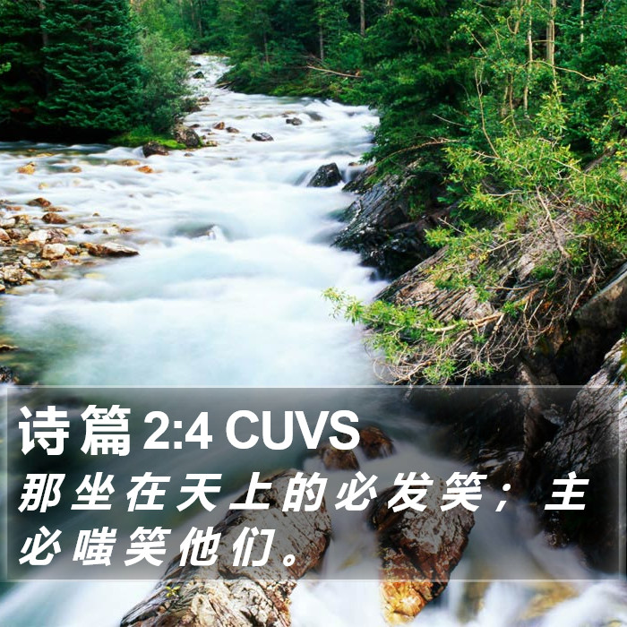 诗 篇 2:4 CUVS Bible Study
