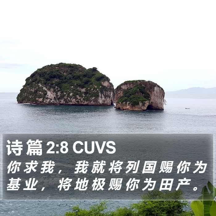 诗 篇 2:8 CUVS Bible Study