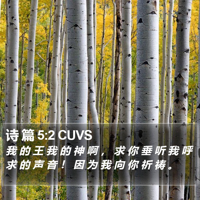 诗 篇 5:2 CUVS Bible Study