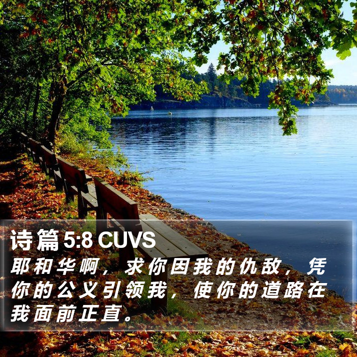 诗 篇 5:8 CUVS Bible Study