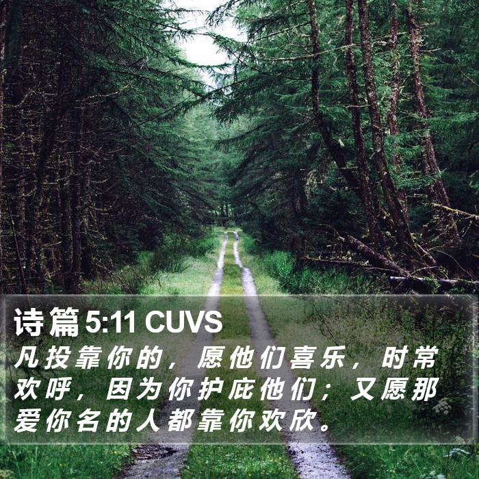 诗 篇 5:11 CUVS Bible Study