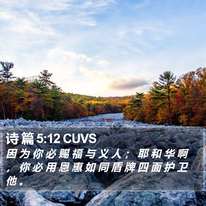 诗 篇 5:12 CUVS Bible Study