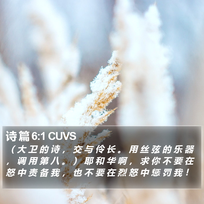 诗 篇 6:1 CUVS Bible Study