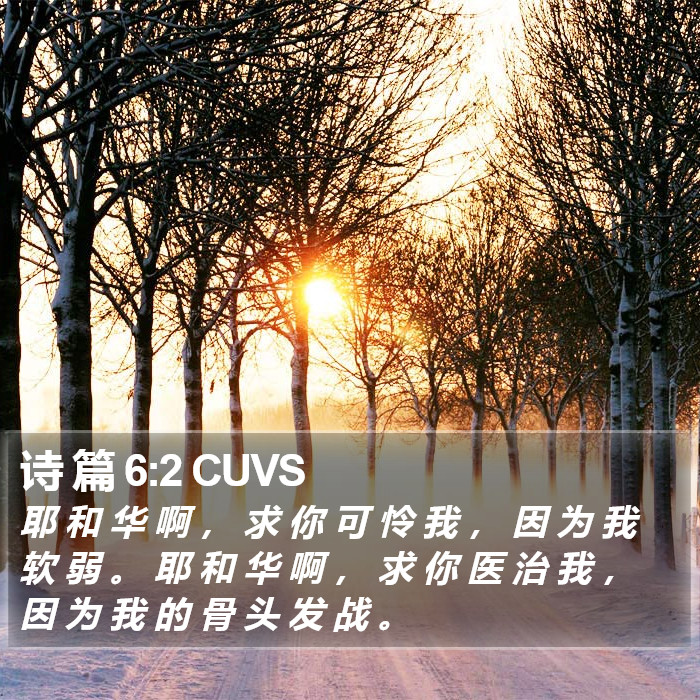 诗 篇 6:2 CUVS Bible Study