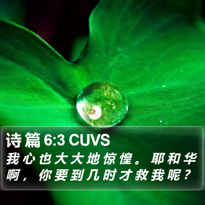 诗 篇 6:3 CUVS Bible Study