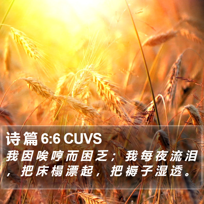 诗 篇 6:6 CUVS Bible Study