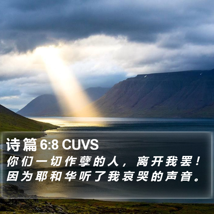 诗 篇 6:8 CUVS Bible Study