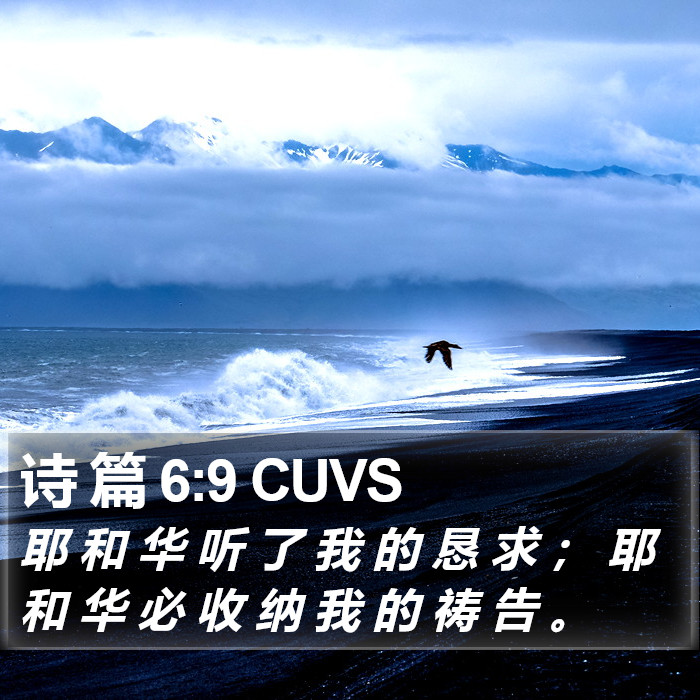 诗 篇 6:9 CUVS Bible Study