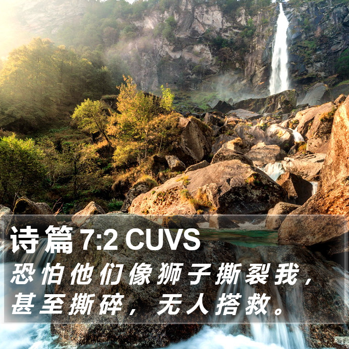 诗 篇 7:2 CUVS Bible Study