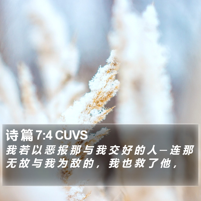 诗 篇 7:4 CUVS Bible Study