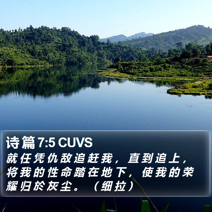 诗 篇 7:5 CUVS Bible Study