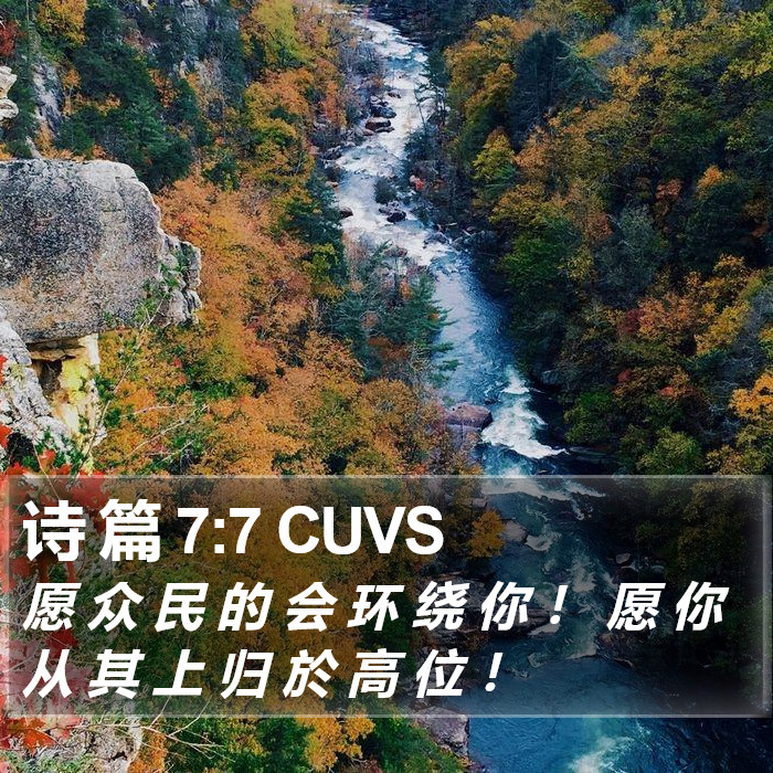 诗 篇 7:7 CUVS Bible Study