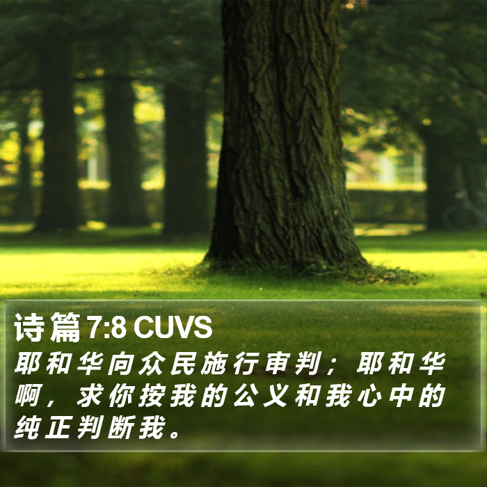 诗 篇 7:8 CUVS Bible Study