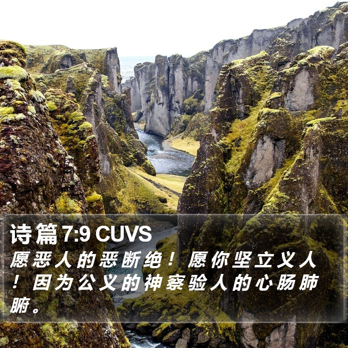 诗 篇 7:9 CUVS Bible Study