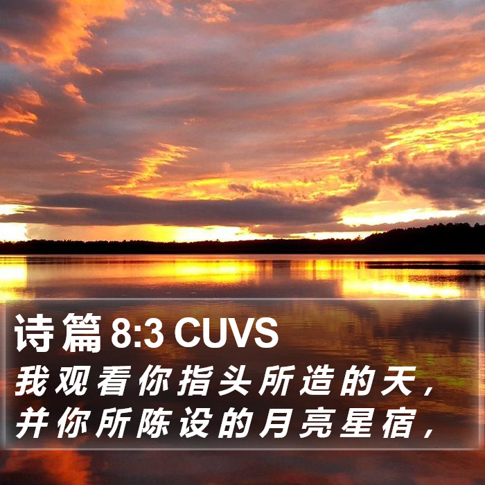 诗 篇 8:3 CUVS Bible Study