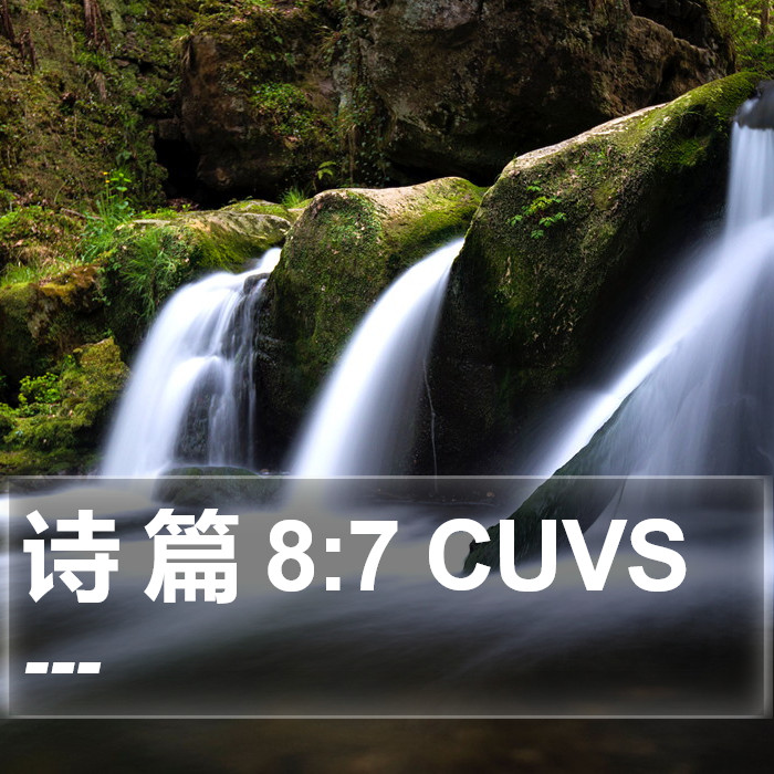 诗 篇 8:7 CUVS Bible Study