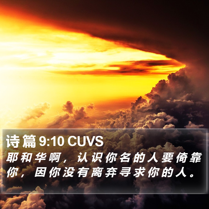 诗 篇 9:10 CUVS Bible Study
