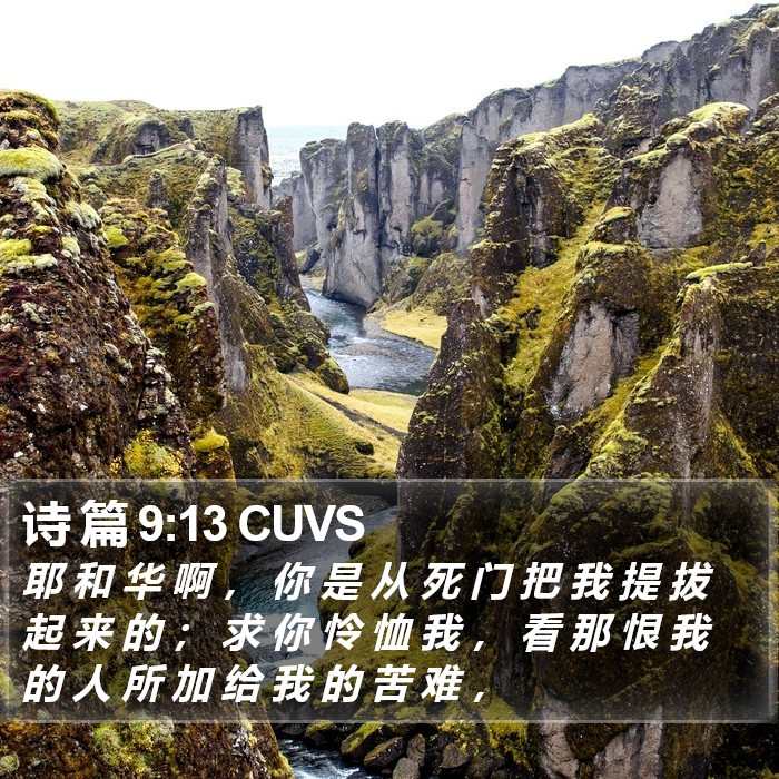 诗 篇 9:13 CUVS Bible Study